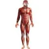 Anatomy Man Costume -Contact Lens Shop anatomy man costume 645721