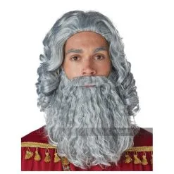 California Costumes Biblical King Wig & Beard/Adult Grey