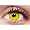Crazy Contact Lens Yellow One Year -Contact Lens Shop crazy contact lens yellow one year 605557