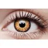 Crazy Lens Contacts - Twilight -Contact Lens Shop crazy lens contacts twilight 223090