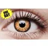 Crazy One-Day Contact Lens - Twilight -Contact Lens Shop crazy one day contact lens twilight 437494