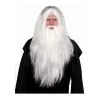 AMSCAN Sorcerer Wig And Beard Set White -Contact Lens Shop sorcerer wig and beard set white 272261
