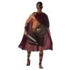 California Costumes Spartan Warrior/Adult -Contact Lens Shop spartan warrioradult 541176