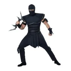 California Costumes Stealth Ninja/Adult
