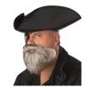 California Costumes The Captain Beard & Moustache Grey