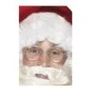 Wire Framed Santa Specs -Contact Lens Shop wire framed santa specs 188922